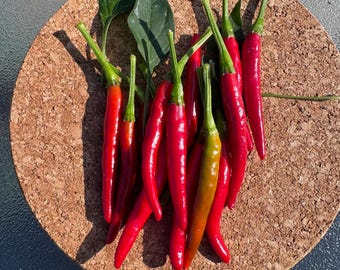 May include: A cluster of vibrant red chili peppers with green stems and a few attached green leaves. The peppers are long, slender, and tapered, with one pepper showing a slight green-to-red gradient. They are arranged in a bunch.