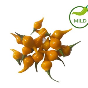 25+ Yellow Biquinho Pepper Seeds (Available in Bulk)