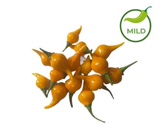 25+ Yellow Biquinho Pepper Seeds (Available in Bulk)