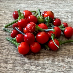 25  Black Pearl Pepper Seeds (Available in Bulk)