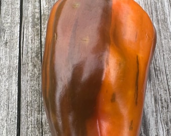 May include: A bell pepper with a unique color gradient. One half is a deep brown, transitioning to a vibrant orange on the other side. The pepper has a green stem and sits on a weathered wooden surface.