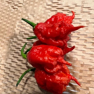 10+ Carolina Reaper Pepper Seeds (World's Hottest Pepper)