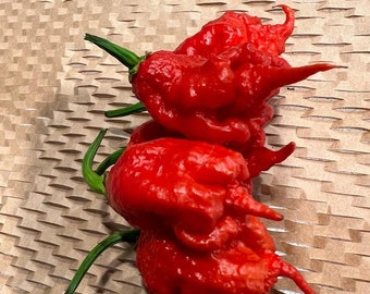May include: Three red chili peppers with a bumpy, wrinkled texture. The peppers are arranged in a cluster with their stems pointing in different directions.