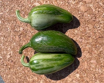 May include: Three fresh, elongated green vegetables with smooth, glossy skin and subtle light green striping. Each vegetable features a curved stem at one end and a tapered, rounded shape, displaying natural variations in color and texture.
