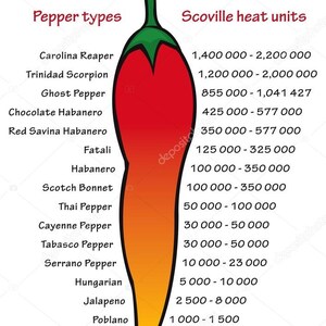 May include: A red chili pepper with a green stem is divided into sections, each representing a different type of pepper and its corresponding Scoville heat units. The Scoville Scale measures the heat of chili peppers. The peppers listed from hottest to mildest are: Carolina Reaper, Trinidad Scorpion, Ghost Pepper, Chocolate Habanero, Red Savina Habanero, Fatali, Habanero, Scotch Bonnet, Thai Pepper, Cayenne Pepper, Tabasco Pepper, Serrano Pepper, Hungarian, Jalapeno, Poblano, Anaheim, Pepperoncini, and Bell Pepper.