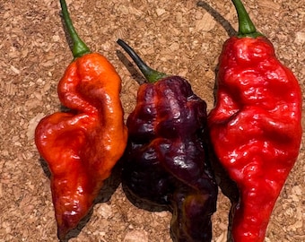 May include: Three fresh chili peppers with wrinkled, textured skin and green stems. The pepper on the left is bright orange, the center pepper is a deep dark purple, and the pepper on the right is a vibrant, glossy red. Each pepper has a tapered shape.