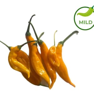 25 Aji Limon (Lemon Drop) Pepper Seeds