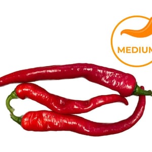 10 Hot Portugal Pepper Seeds