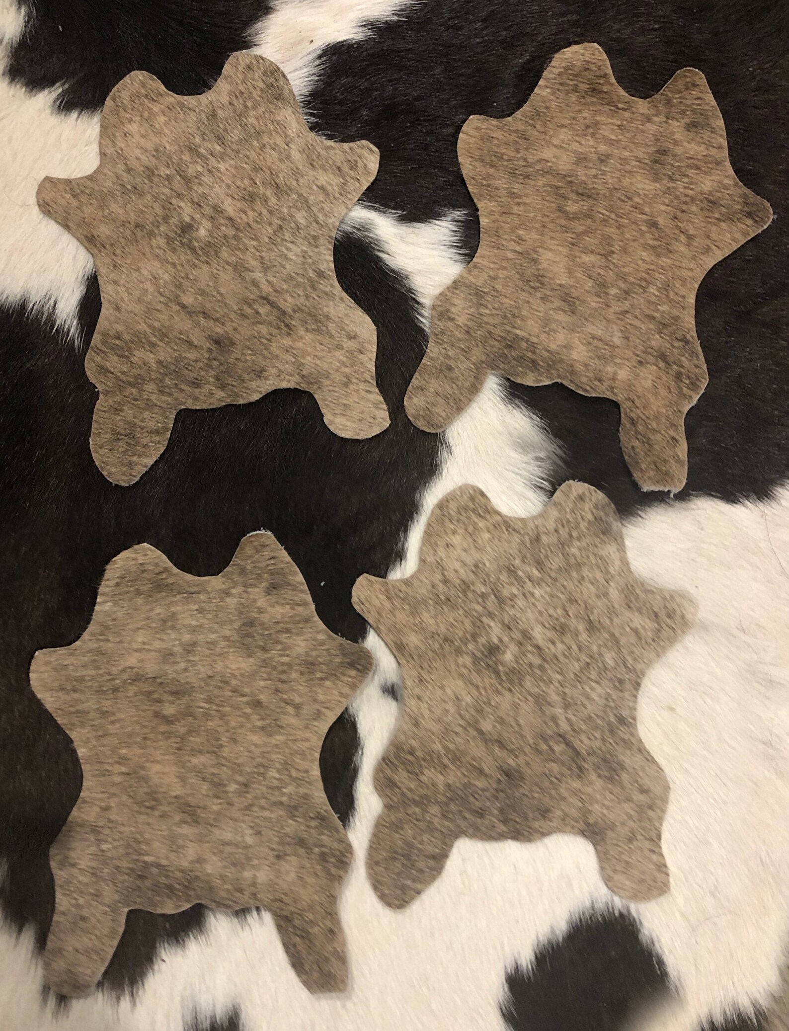 Cowhide Coasters Shaped as Mini Cowhide Rugs Etsy