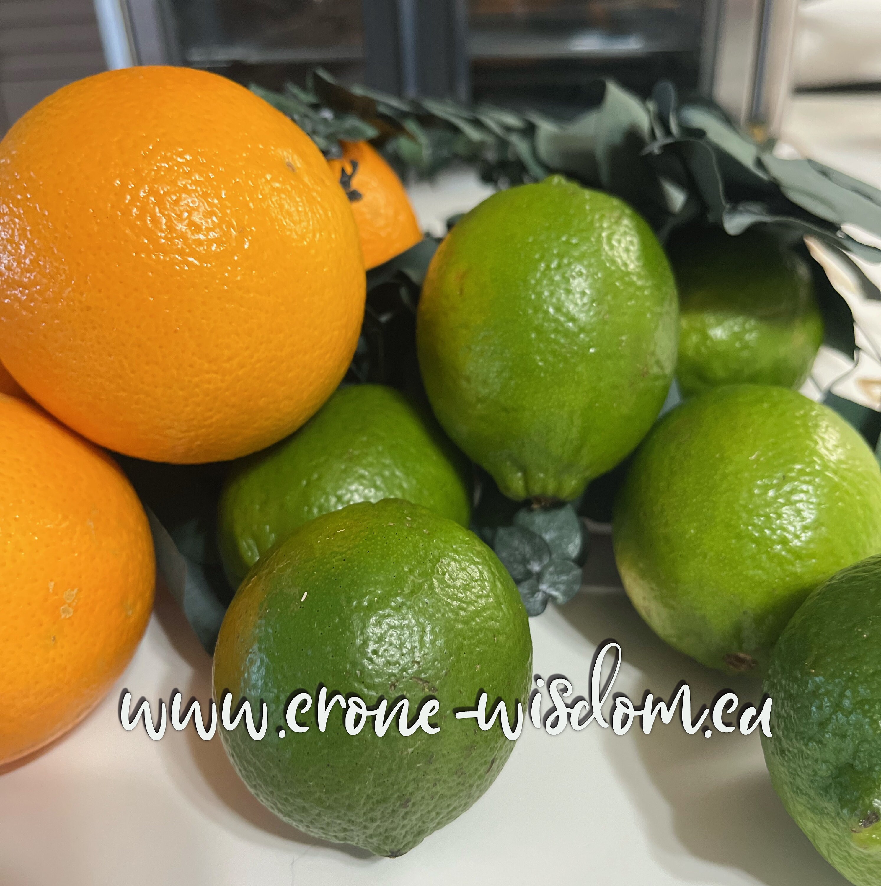 New Beginnings Imbolc Simmer Pot Kit Stovetop Potpourri Blend With