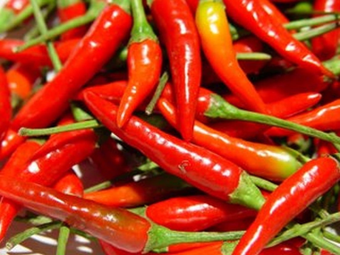 Thai Bird Chili Pepper Seeds Etsy