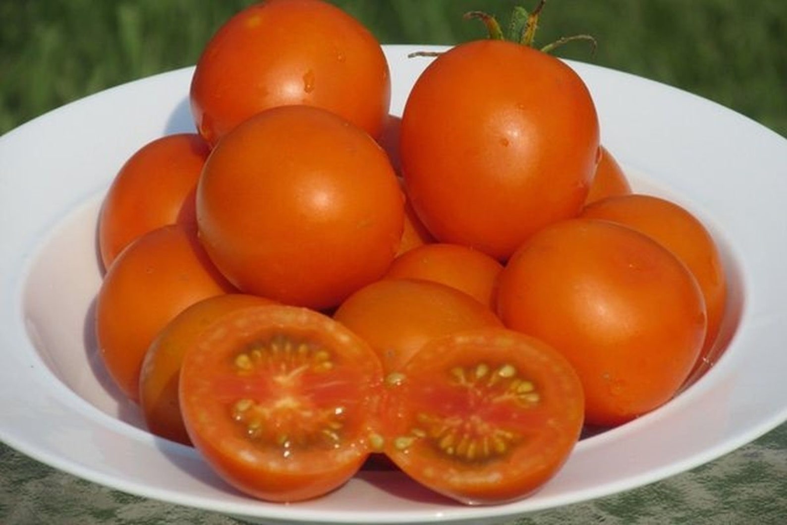 Оранжевые томаты гномы. Томат Жемчужина оранжевая. Томат "big Orange". Томат оранжевый Капрезе. Кумкват оранжевый томат.