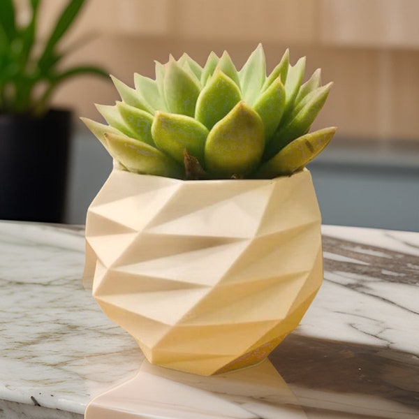 Geo Planter For Succulents | Modern Succulent Planter | 3D Planter | Succulent planter | Minimalist Planter