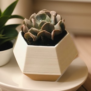 Hexagon Planter For Succulents | Modern Succulent Planter | 3D Planter | Succulent planter | Minimalist Planter