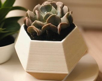 Hexagon Planter For Succulents | Modern Succulent Planter | 3D Planter | Succulent planter | Minimalist Planter