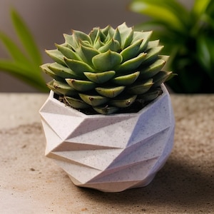 Geometric Planter For Succulents | Modern Succulent Planter | 3D Printed Planter | Succulent planter | Minimalist Planter