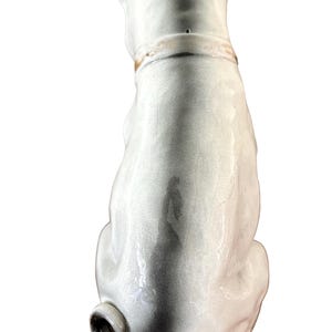 May include: A ceramic dog figurine, viewed from the back, in shades of gray and white. The dog is seated with its tail curled. It has a collar around its neck. The figurine has a glossy finish.