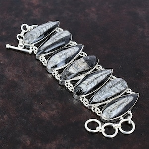 Orthoceras Fossil Bracelet: 925 Sterling Silver Adjustable Chain