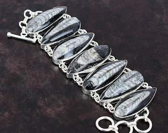 Orthoceras Fossil Bracelet: 925 Sterling Silver Adjustable Chain