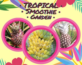 Tropical Smoothie Garden Collection! Paradise Pineapple and Banana Blend! *Pesticide Free and Non-GMO!* Perfect for container gardens!