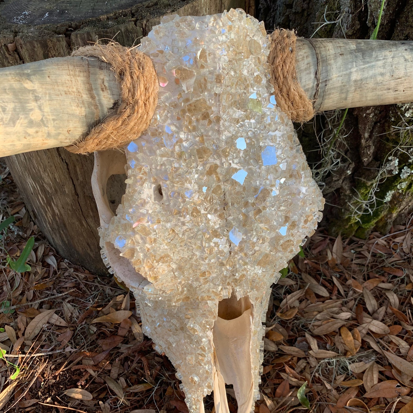 Bling Cow Skull with Horns Etsy