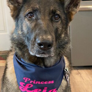Bandana de corbata para perros