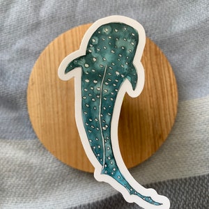 Whale Shark Clear Sticker