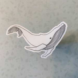 Clear Humpback Whale Outline Sticker