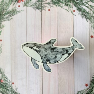 Orca Whale Sticker