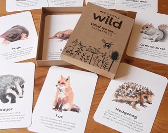 UK mammals flashcards | educational learning resources for toddlers, preschoolers | EYFS | nature gift for kids