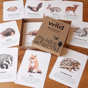 UK mammals flashcards | educational learning resources for toddlers, preschoolers | EYFS | nature gift for kids