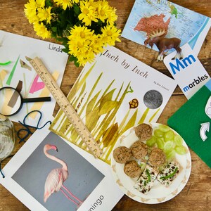 Inch by Inch Preschool Lesson Plan Week 28: March/Spring