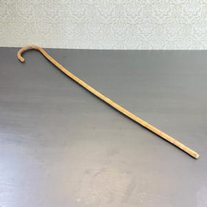 Può includere: Un bastone da passeggio in legno marrone chiaro con un manico curvo. Il bastone è dritto e sottile, appoggiato su una superficie scura. L'impugnatura si curva dolcemente, offrendo una presa comoda. Il bastone sembra essere fatto di un unico pezzo di legno.