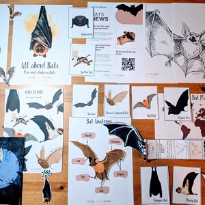May include: A collection of printable educational resources about bats, including a bat anatomy diagram, a map of where bats live, and a worksheet with different types of bats. The resources are printed on white paper and feature colorful illustrations of bats.