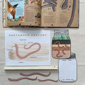 Earthworm Unit Study | Preschool Curriculum | Homeschool Printable | Digital | Kindergarten Download | Garden | Earthworm | Study | Nature