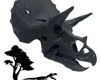 Dinosaurier Skluptur Triceratops Figur Skelett Fossil Dekofigur NY16-a 