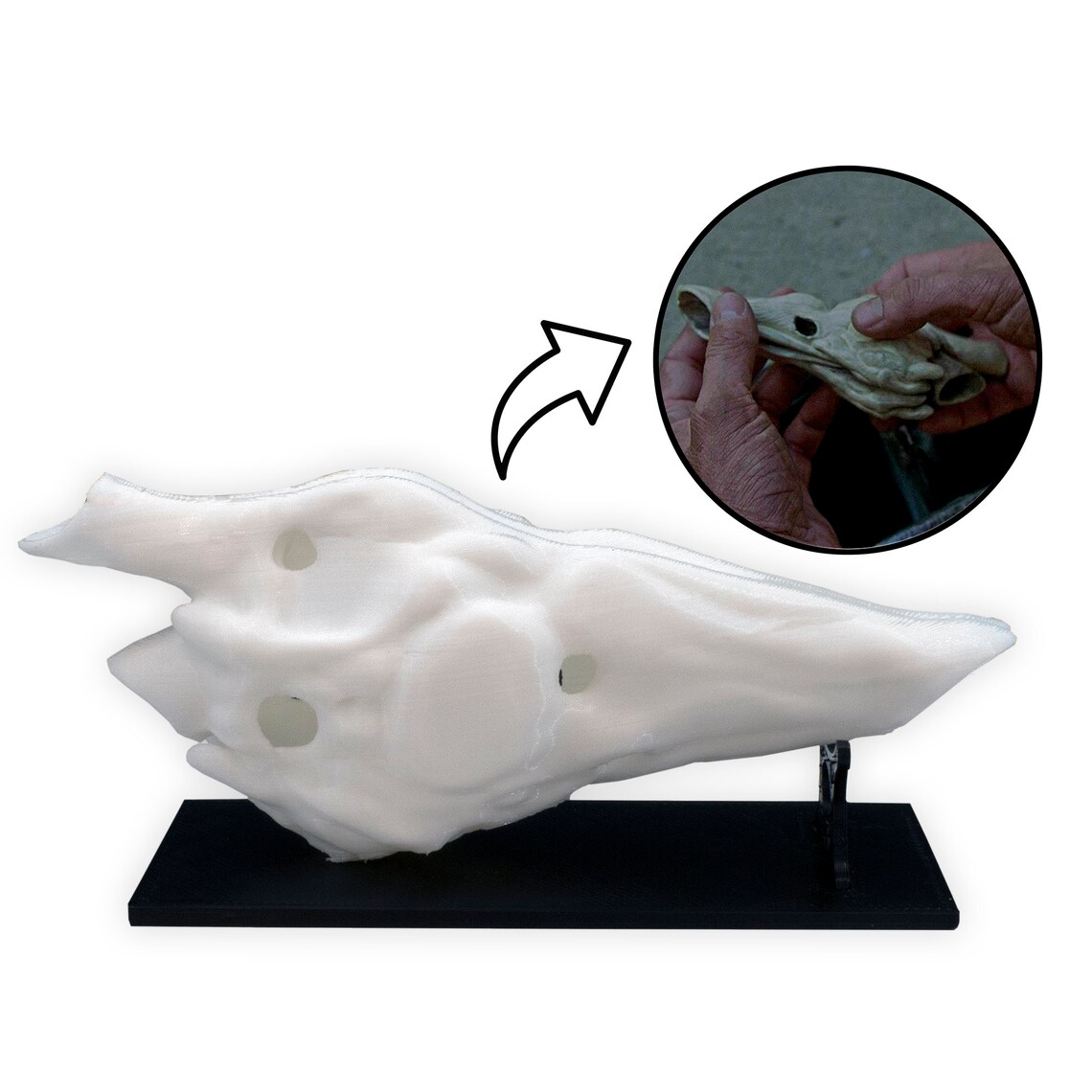 Jurassic Park Replica Velociraptor Resonating Chamber Ocarina Etsy