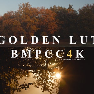 Golden Cinematic LUT for BMPCC4K F202 for golden image 1