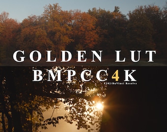 Golden Cinematic LUT for BMPCC4K "F202" for golden Sunrise