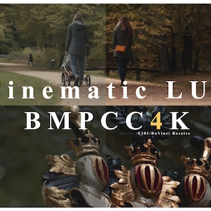May include: Cinematic LUT for Blackmagic Pocket Cinema Camera 4K, a DaVinci Resolve color grading preset.