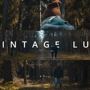 Vintage FILM LUT for BMPCC4K | F212