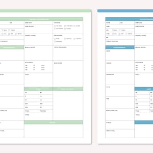 Green and blue nurse brain sheets side by side with vitals, labs, medications and plan of care sections