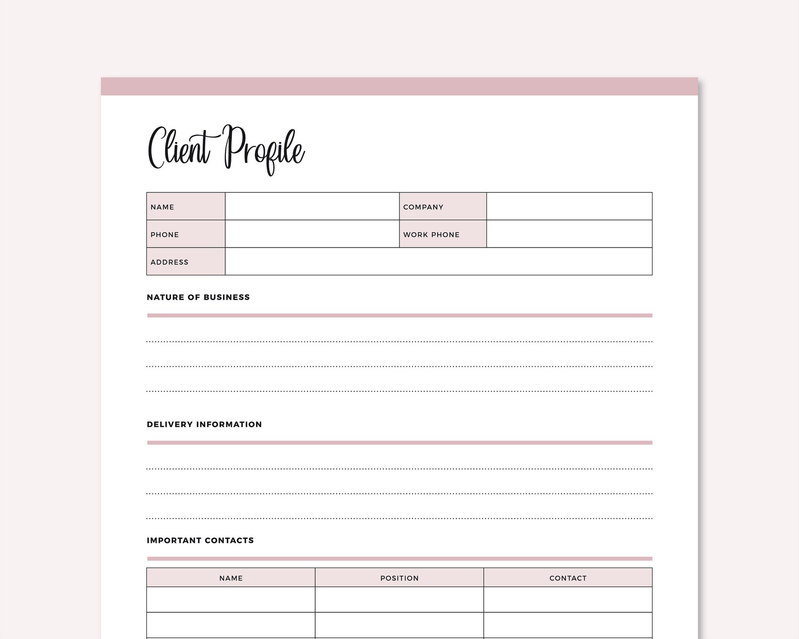 Business Client Profile Template, B2B Client Information Tracking Sheet ...