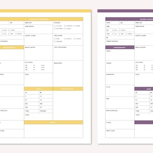 Yellow and purple rn report sheets side by side, printable PDF