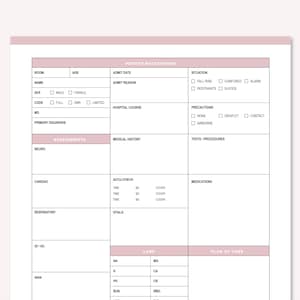 Close-up of the pink nursing report sheet with patient background, code status, precautions, situation flags and assessment sections