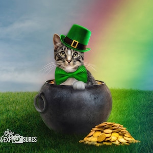 May include: A tabby cat wearing a green leprechaun hat and bow tie sits in a black pot filled with gold coins. The cat is looking at the camera. The pot is sitting on a green grassy field with a rainbow in the background.