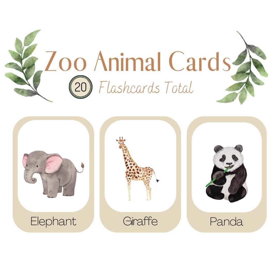 Printable Zoo Animal Flashcards20 Toddler Flashcards Homeschool Printable zoo animal flashcards20 toddler flashcards homeschool