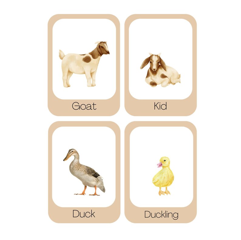 Printable Farm Animal Flashcards16 Total Printable Flaschards-adult ...