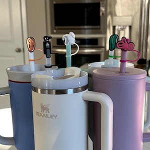 Audiology Straw Toppers (pack of 5), fits most tumblers with straws! audiologist, audiology, grad school gift