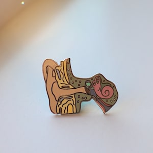 May include: Anatomy-themed enamel pin depicting a cross-section of the inner ear. The pin features a detailed design with various colors, including tan, green, and pink, and is outlined in a metallic gold color.